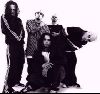 music band korn : 14