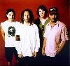 music band rage against the machine : 43