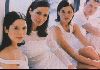 Music The Corrs : The Corrs