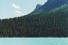 Cities Canada : Undisturbed pine forest on the shore of Lake Louise.