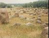 Cities Europe Denmark : Runic stones in northern Denmark