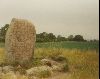 Cities Europe Sweden : Viking rune on the island of land