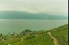 Cities Europe Switzerland : Lake Geneva. This was my view after waking up on a night train from Bolo