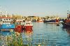 Cities Europe Ireland : Irish fishing boats in Howth