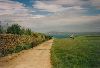 Cities Europe The United Kingdom : A dirt road and ancient monolith by the Welsh coast.