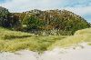 Cities Europe The United Kingdom : Sand dunes on Iona.