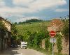 Cities Europe France : Alsace is well known for its wine. Here are some vineyards.