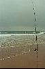 Cities Europe France : Fishing into the Bay of Biscay from the Plage des Basques.