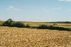 Cities Europe Germany : A tractor in a farmer s field by Versbach