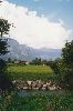 Cities Europe Germany : An Alpine stream flowing through the valley.