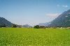 Cities Europe Germany : Valley near Burgrain