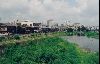 Cities Asia Japan : The Kamo River