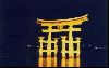 Cities Asia Japan : The torii gate at night