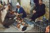 Cities Africa Morocco : Chickens for sale