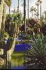 Cities Africa Morocco : The gorgeous Majorelle Gardens