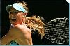 Female Athlete Maria Sharapova : Maria Sharapova