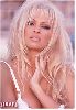 Pamela Anderson Lee : Pamela Anderson