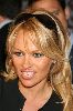 Pamela Anderson Lee : Pamela Anderson