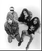 Music Alice In Chains Gallery : Alice In Chains pictures