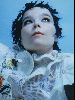 Bjork : Bjork-elr05