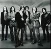 Black Crowes : p22262bg97o