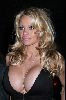 Pamela Anderson : Pamela Anderson-24