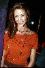 Shannon Elizabeth : carmen shannon las 10 big