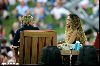 Beyonce on the Ellen Show with  Ellen DeGeneres