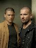 Dominic Purcell : 41613