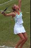 Athlete Maria Sharapova picture: Tennis player Maria Sharapova