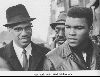 Mohammed Ali : 2294 258674263 ali2 H154341 L