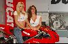 Lucy Pinder : lucy pinder michelle marsh ducati 7 big