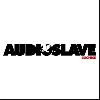 Audioslave : Cochisecover