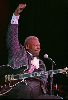 B.B. KING : BB-King-wm02