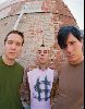 Blink 182 : Blink 182 umvd008