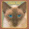 Blink 182 : ChesireCatBlink182