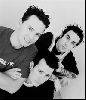 Blink 182 : p21519xr4j0