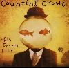 COUNTING CROWS : CountingCrowsThisDesertLife