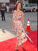 Roselyn Sanchez : roselyn-sanchez-picture-2