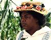 Oprah Winfrey : Oprah Winfrey AS Sofia IN The Color Purple.