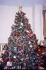 Christmas Tree : 2000 Christmas Tree