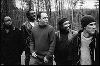 DAVE MATTHEWS BAND : p23561ob6df