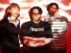 Yo La Tengo : Yo-La-Tengo-ht01