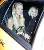 Elisha Cuthbert : paris hilton elisha cuthbert 2 big