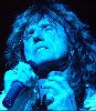 Whitesnake : Whitesnake-sp13