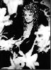 Bonnie Tyler : p12233wbj1u